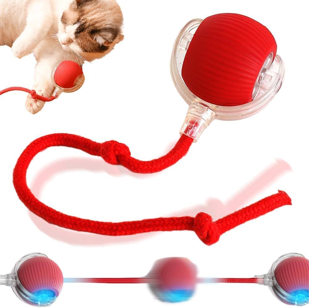 Pet Automatic Ball Toy
