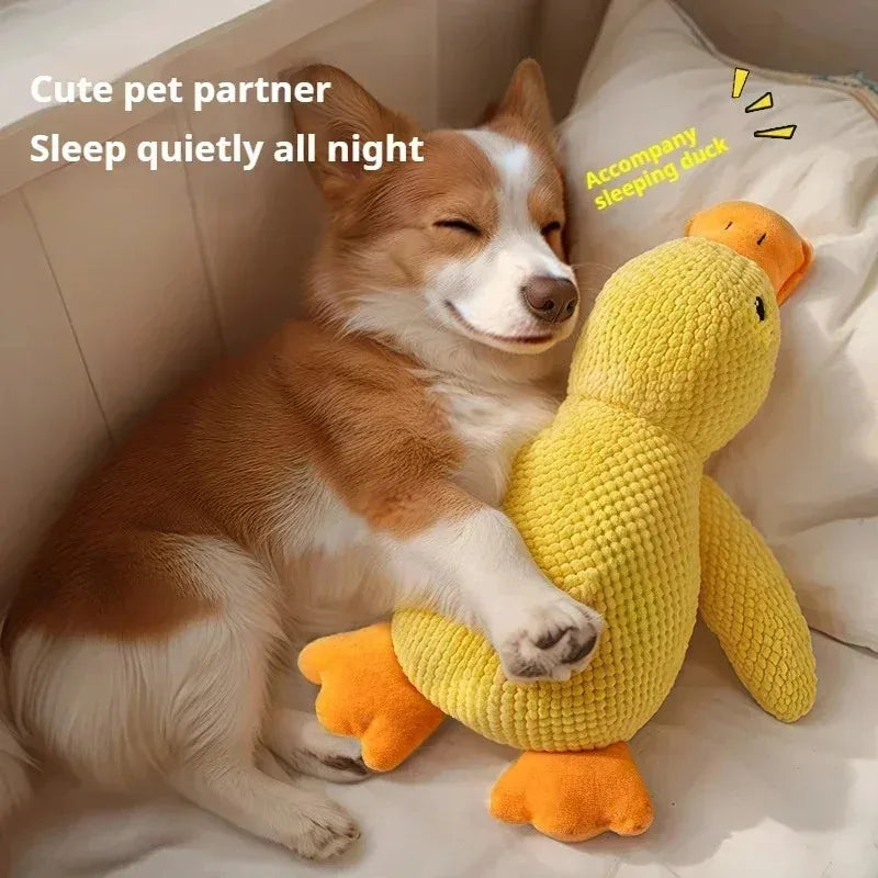Pet Duck Squeaky Toy