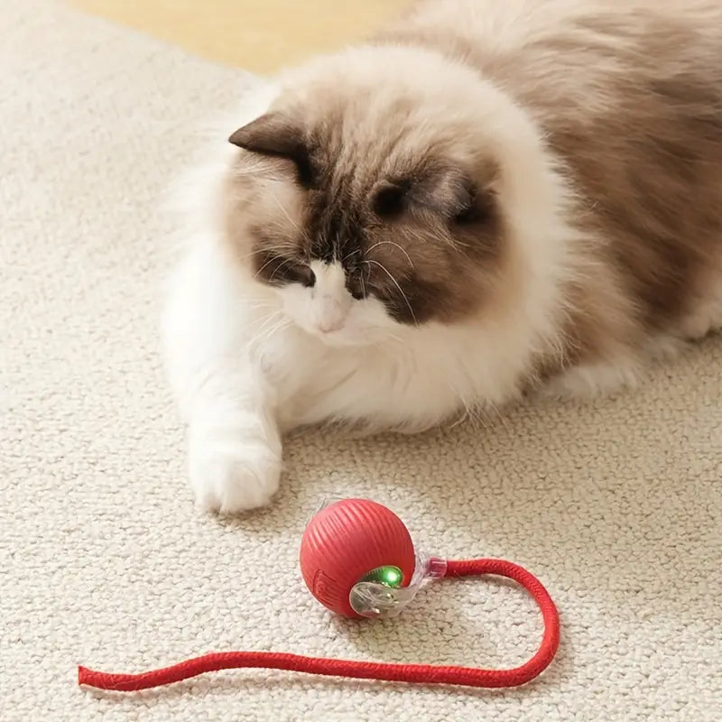 Pet Automatic Ball Toy